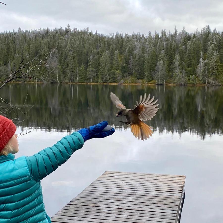 Villa Saarua By The Slopes Ski In, Family & Bike Park, Hike Trails, National Park, Wifi - Lapland Villas Ruka Buitenkant foto