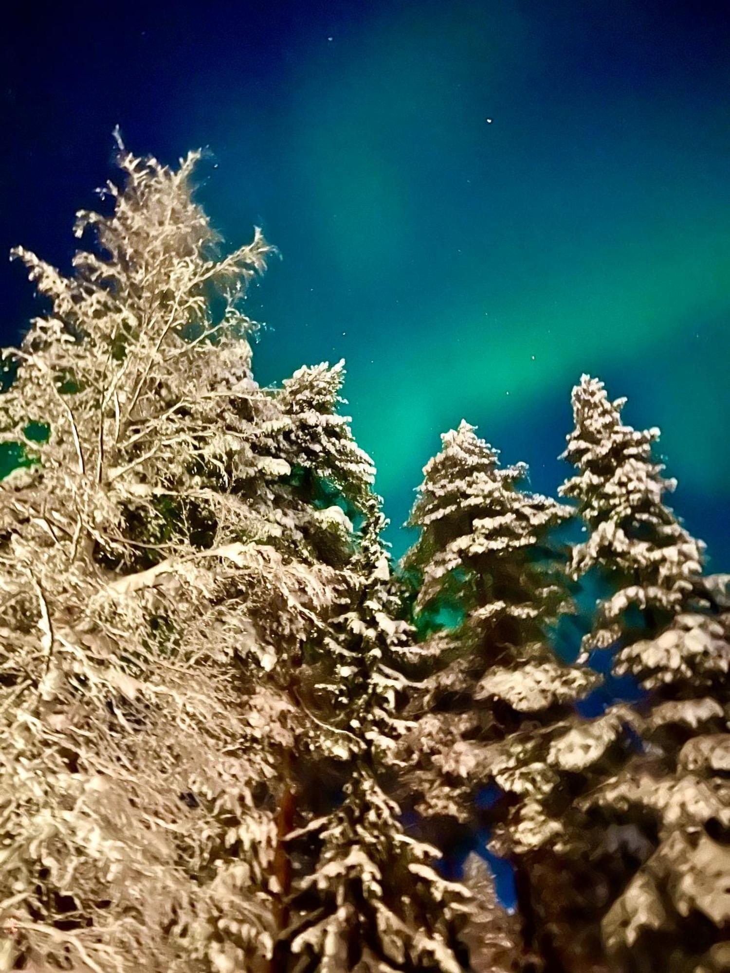 Villa Saarua By The Slopes Ski In, Family & Bike Park, Hike Trails, National Park, Wifi - Lapland Villas Ruka Buitenkant foto