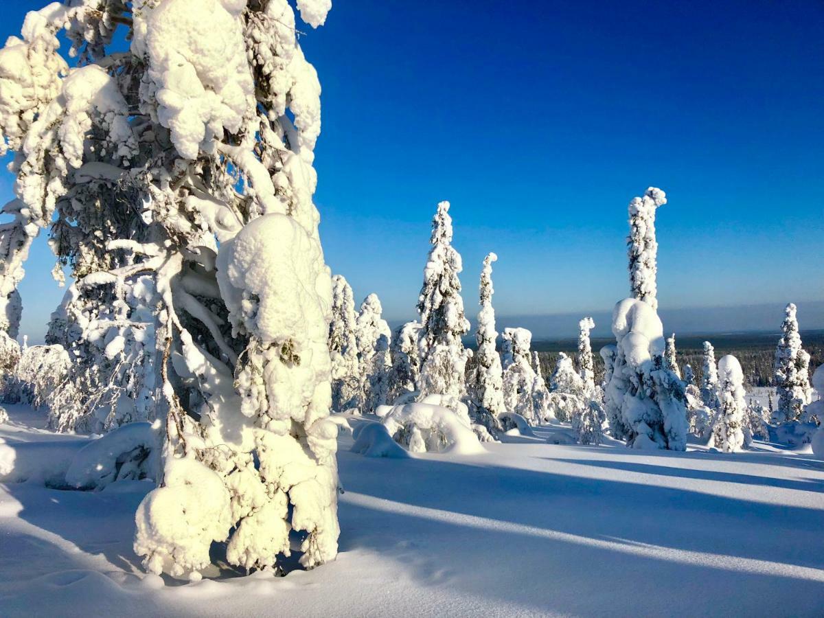 Villa Saarua By The Slopes Ski In, Family & Bike Park, Hike Trails, National Park, Wifi - Lapland Villas Ruka Buitenkant foto